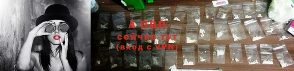 СК Михайлов